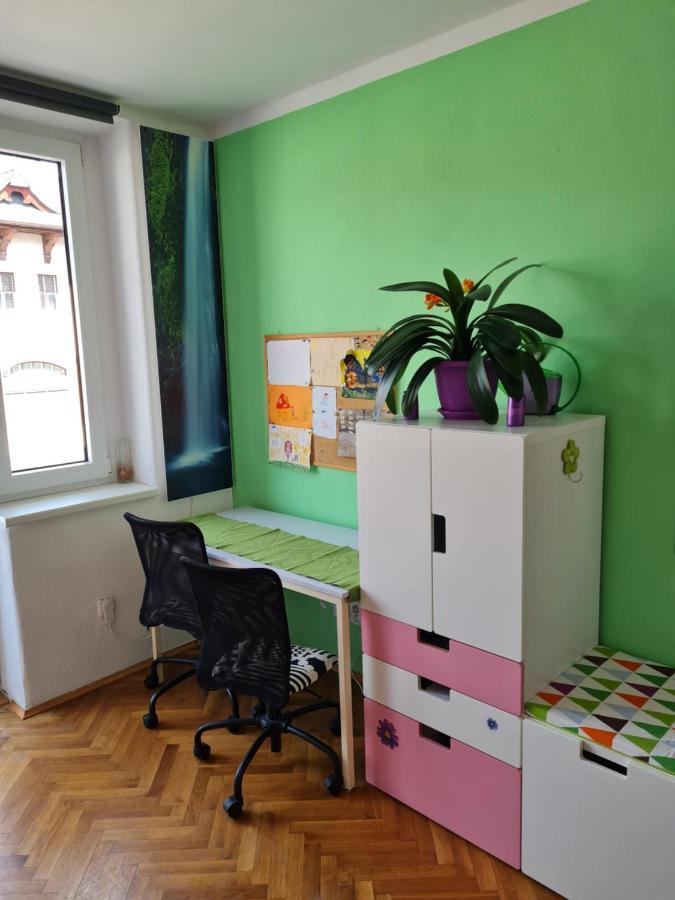 Kousek Do Prirody I Do Centra Lägenhet Písek Exteriör bild