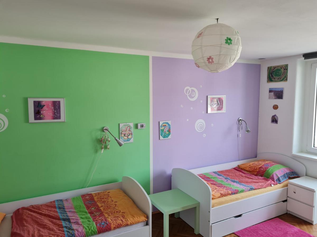 Kousek Do Prirody I Do Centra Lägenhet Písek Exteriör bild