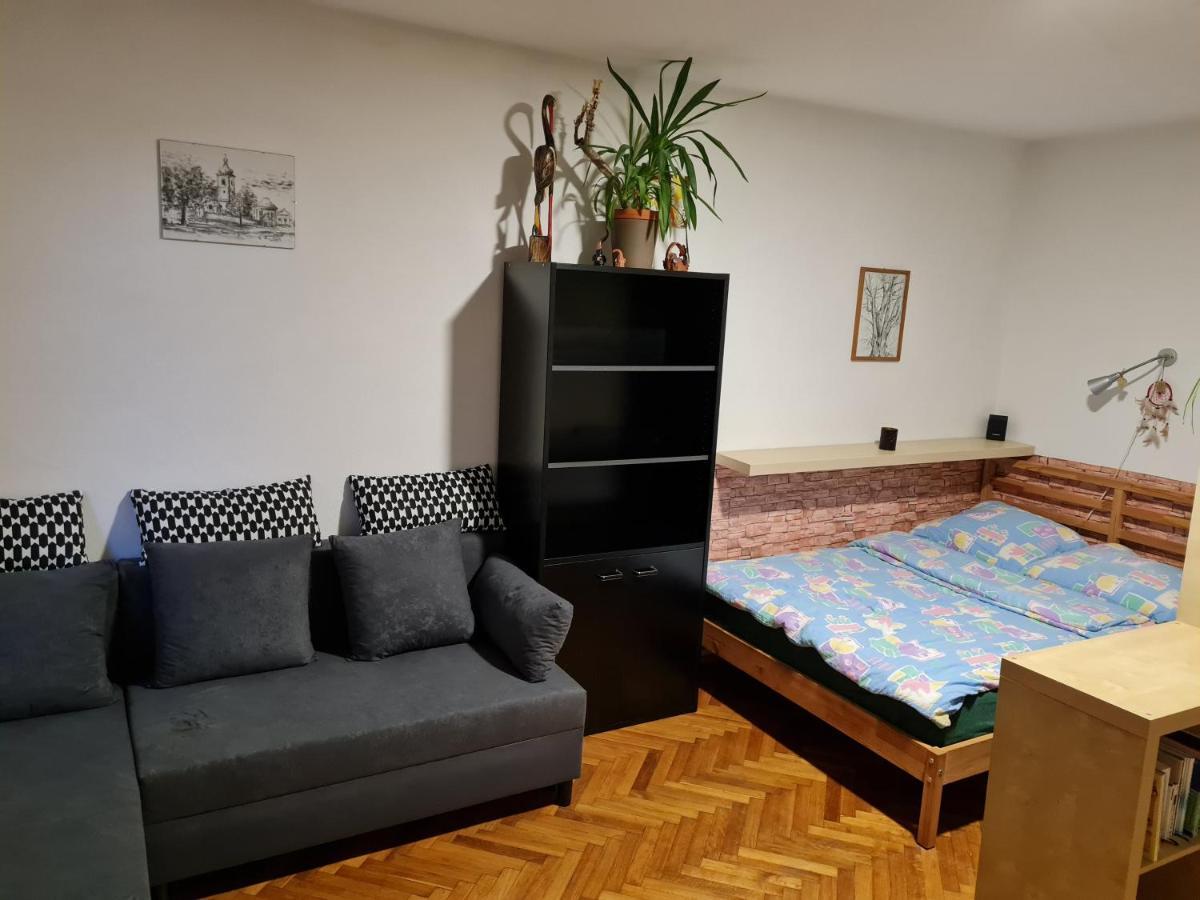Kousek Do Prirody I Do Centra Lägenhet Písek Exteriör bild